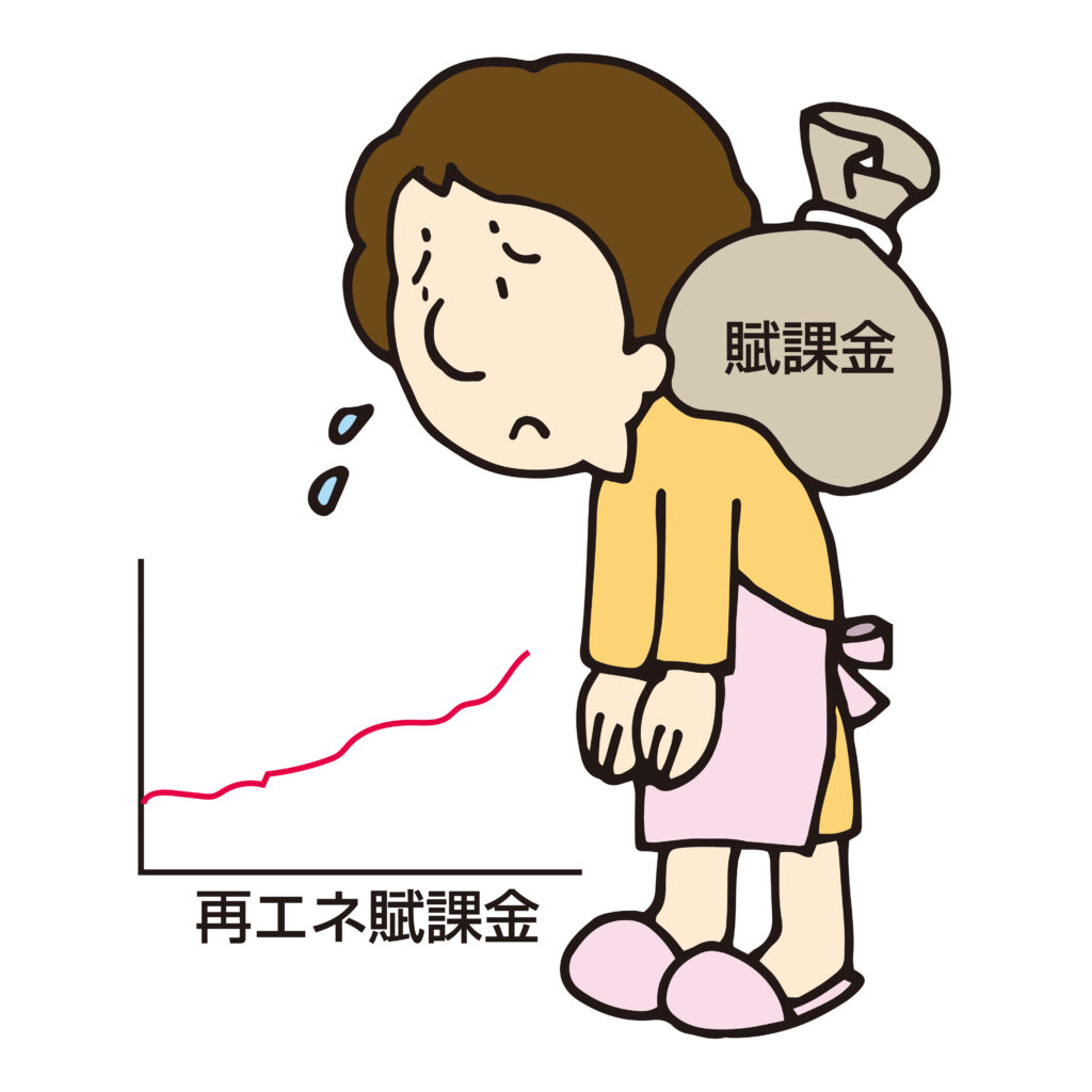 再エネ賦課金が電気代に大きくのしかかり困っている女性